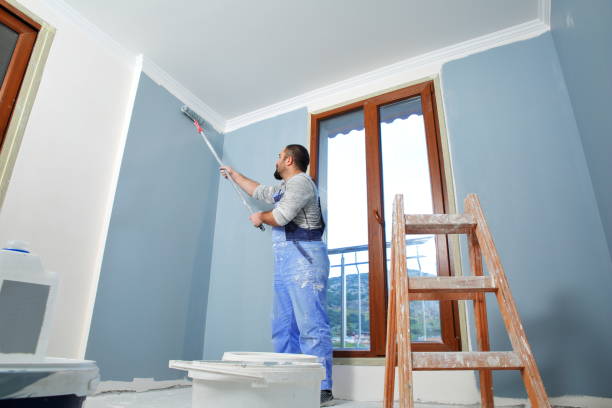 Best Drywall Removal and Disposal  in Gorman, TX