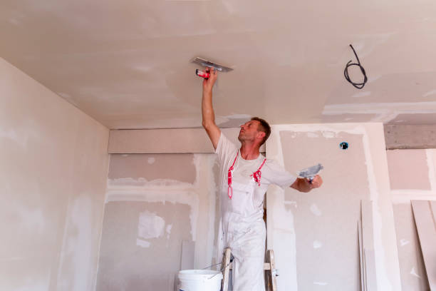 Best Drywall Sanding and Smoothing  in Gorman, TX